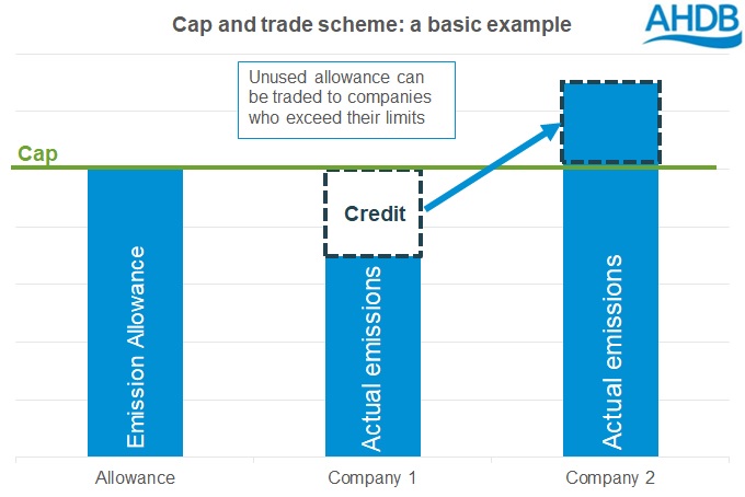 Cap and trade infographic